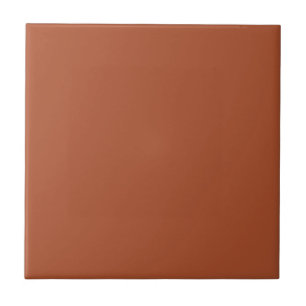 Azulejo Boho Terracotta Rust Ceramic