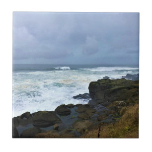 Azulejo Boiler Bay State Wayside, Depoe Bay, Oregon