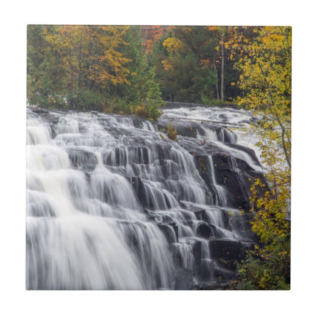 Azulejo Bond Falls en otoño cerca de Paulding, Michigan (Frente)