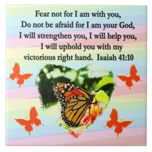 AZULEJO BONITA MARIPOSA NARANJA ISAIAH DISEÑO 41:10