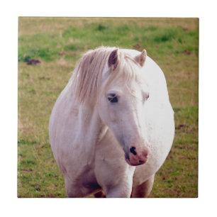 Azulejo Bonita Ponía Gris