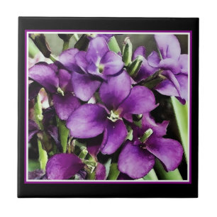 Azulejo Bonito en la flor morada