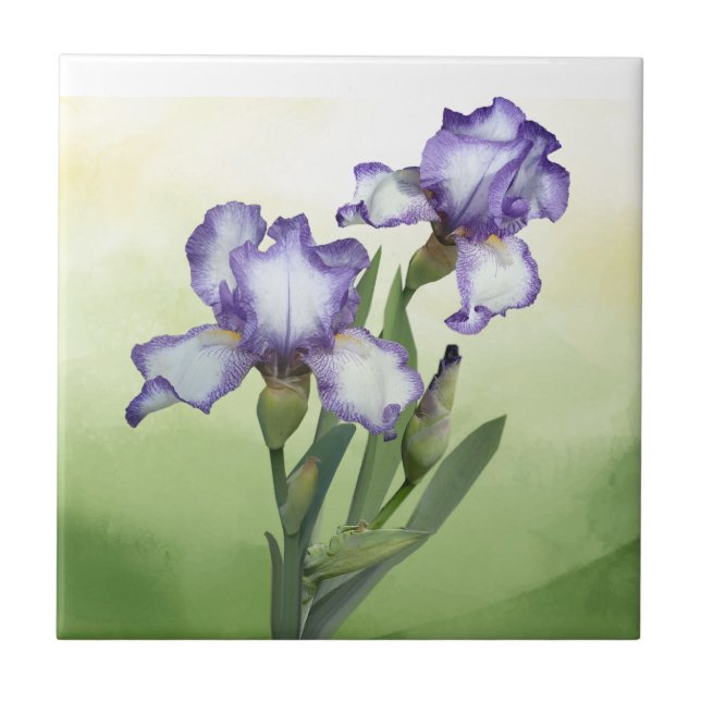 Azulejo Bonito Morado Iris Blanco Jardín Flor Arte (Frente)