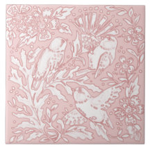 Bonito Pájaro Pájaro Naturaleza Floral Animal