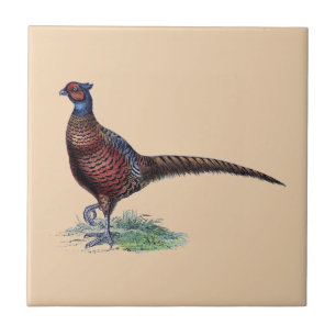 Azulejo Bonito Ring Neck Pheasant Tan