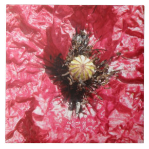 Azulejo Bonito Rojo Flor de amapola