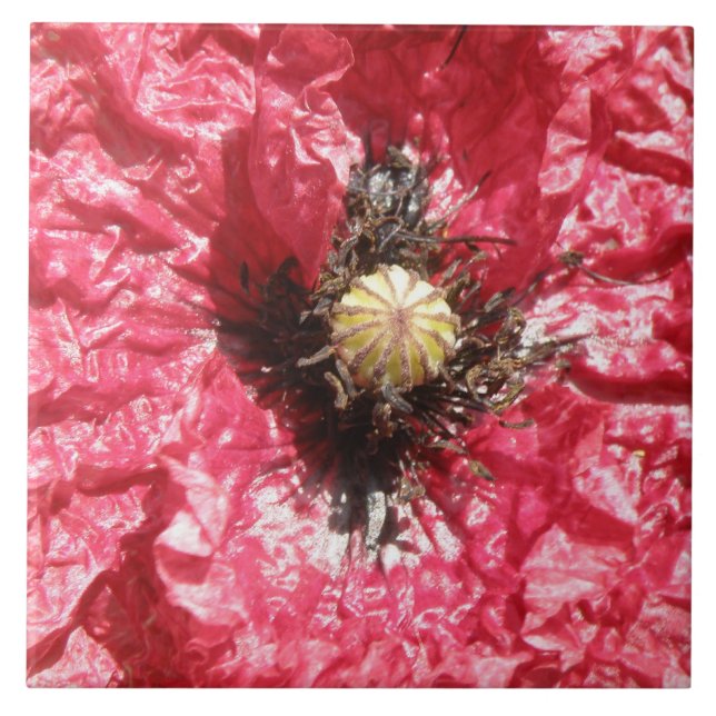 Azulejo Bonito Rojo Flor de amapola (Frente)