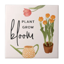Bonito Script Planta Crecer Bloom Tulip