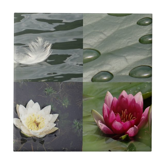 Azulejo Bonito Water Lilies (Frente)