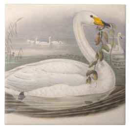 Azulejo bonitos cisnes vintage decoración cerámica