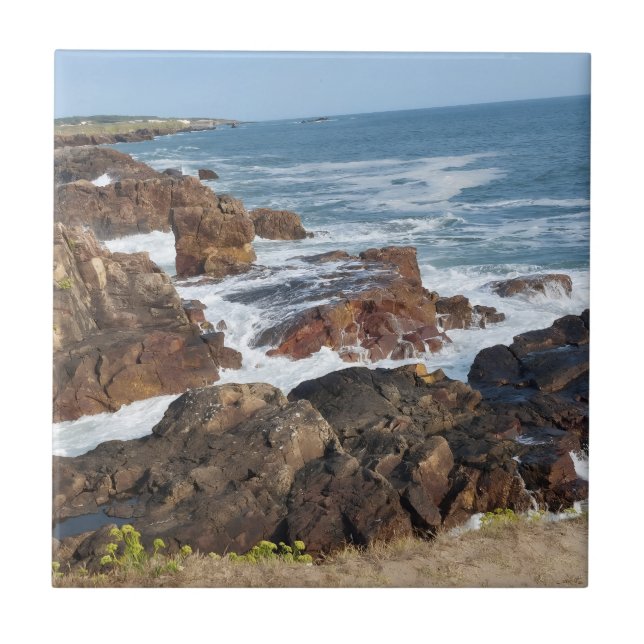 Azulejo Bord de mer français en Vendée (Frente)