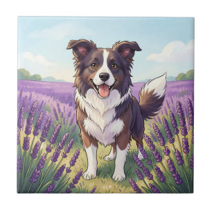 Azulejo Border Collie Feliz Campo de Lavanda