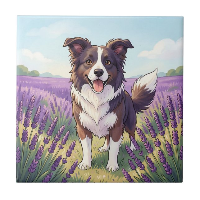 Azulejo Border Collie Feliz Campo de Lavanda (Frente)