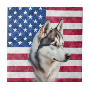 Azulejo Border Collie perro mascota bandera americana