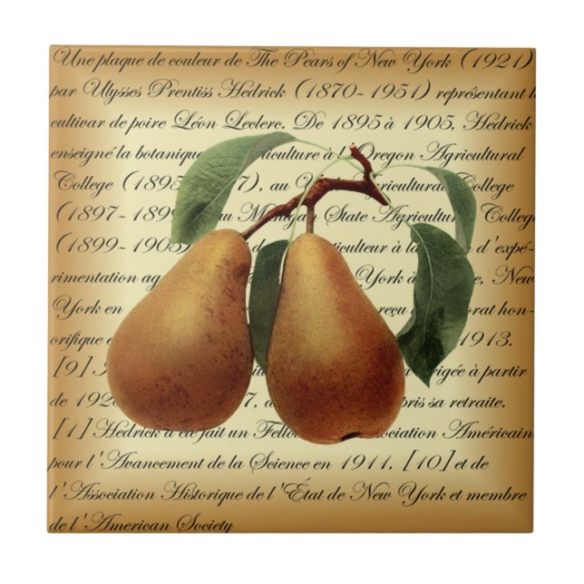 Azulejo Bosc Pears~Léon Leclerc~Ulysses Prentiss Hedrick~ (Frente)