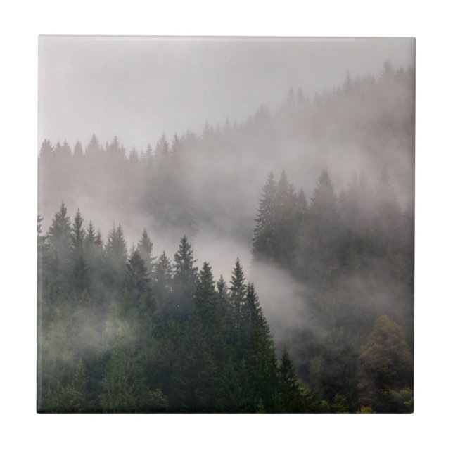 Azulejo Bosque brumoso en las montañas (Frente)