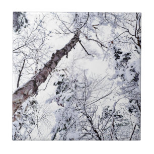 Azulejo Bosque de árboles de nieve de invierno 1