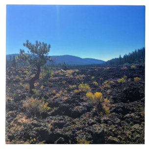 Azulejo Bosque de cuenca de lava, O