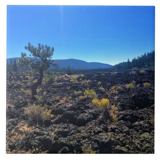 Azulejo Bosque de cuenca de lava, O (Frente)