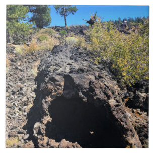 Azulejo Bosque de cuenca de lava, O