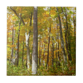 Azulejo Bosque de hojas amarillas paisaje otoñal