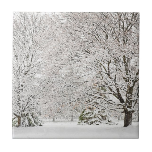 Azulejo Bosque de invierno nevado (Frente)