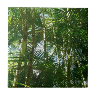 Azulejo Bosque de palmeras Naturaleza tropical