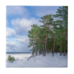 Azulejo Bosque de pino cerca de la costa marítima de Leton