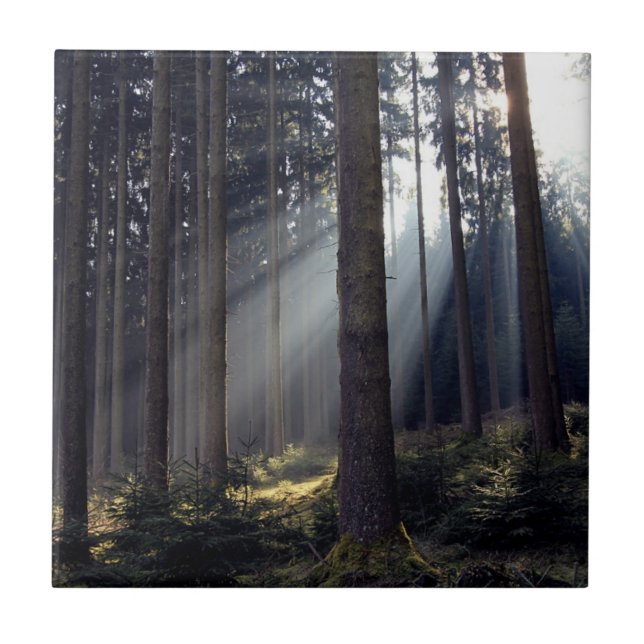 Azulejo Bosque en Baviera (Frente)