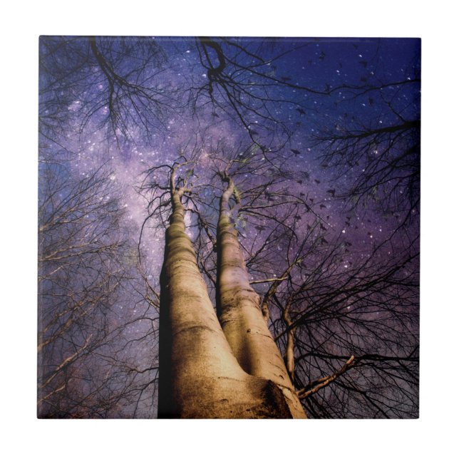 Azulejo Bosque encantado (Frente)