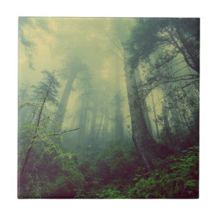 Azulejo Bosque Majestuoso Brumoso