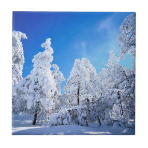 Azulejo Bosque nacional de Cleveland