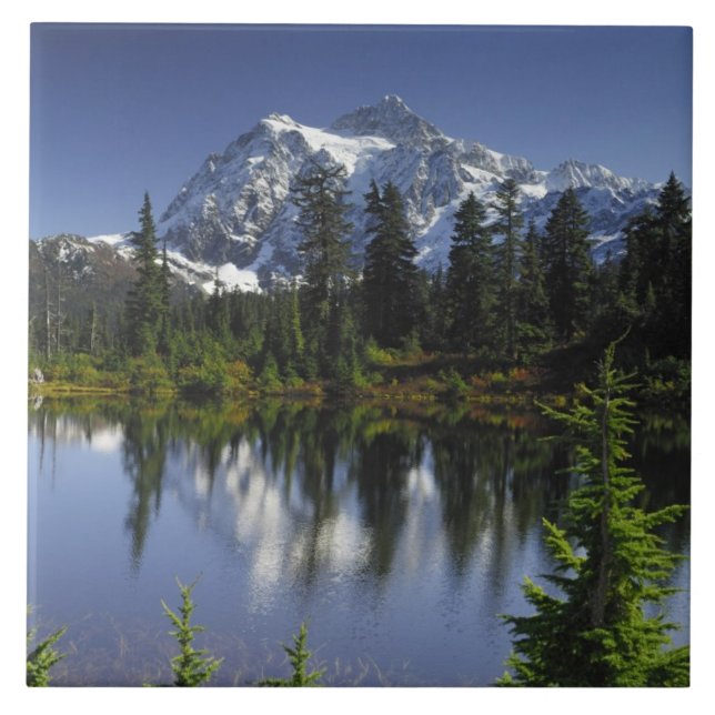Azulejo Bosque nacional Monte Baker-Snoqualmie (Frente)