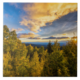 Azulejo Bosque Nacional Santa Fe al atardecer en otoño