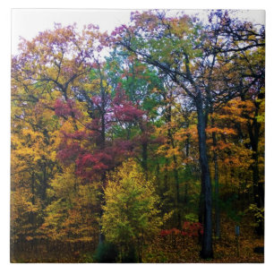 Azulejo Bosque Oscuro de Otoño