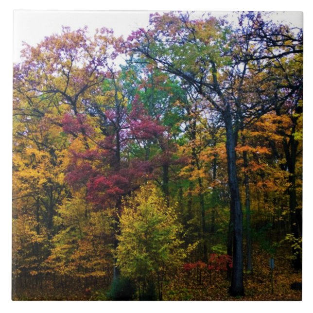 Azulejo Bosque Oscuro de Otoño (Frente)