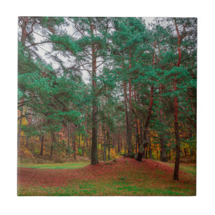 Azulejo Bosque otoñal