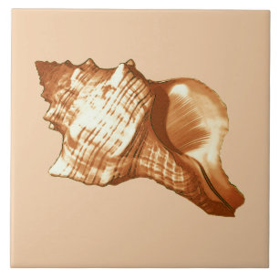 Azulejo Bosquejo de la cáscara de la concha - marrón,