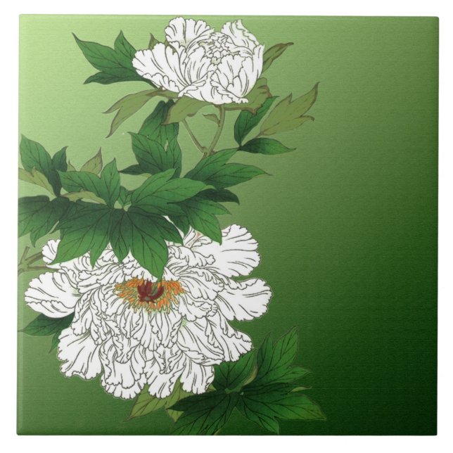 Azulejo Bosquejo japonés del vintage del Peony blanco (Frente)