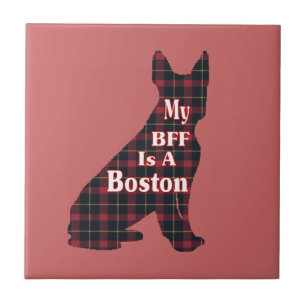 Azulejo Boston Terrier BFF
