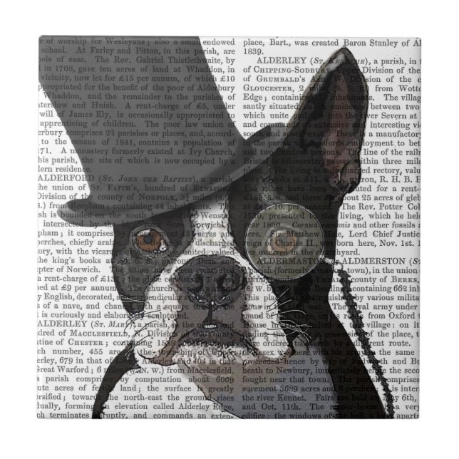 Azulejo Boston Terrier, hedor formal y Gorra (Frente)