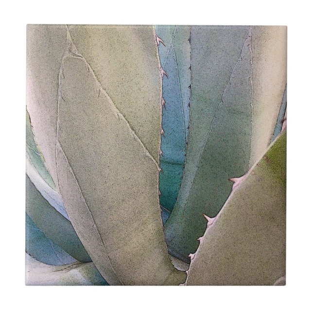 Azulejo Botánica del suroeste del desierto (Frente)