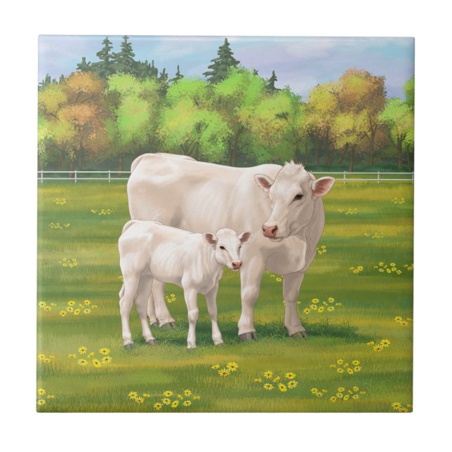 Azulejo Bovino blanco charolés de vaca y ternera de terner (Frente)