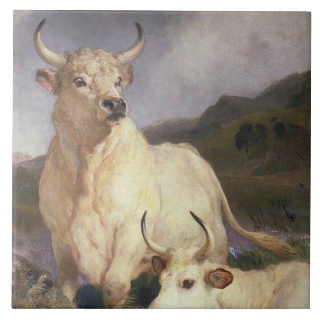 Azulejo Bovino salvaje de Chillingham (vacas) (Frente)