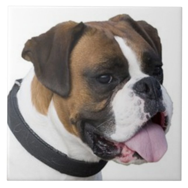 Azulejo BOXER DOG, Mascota Love, mejor amigo KEEPSAKE (Frente)