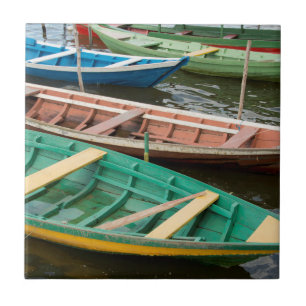 Azulejo Brasil, Amazonía, Alter Do Chao