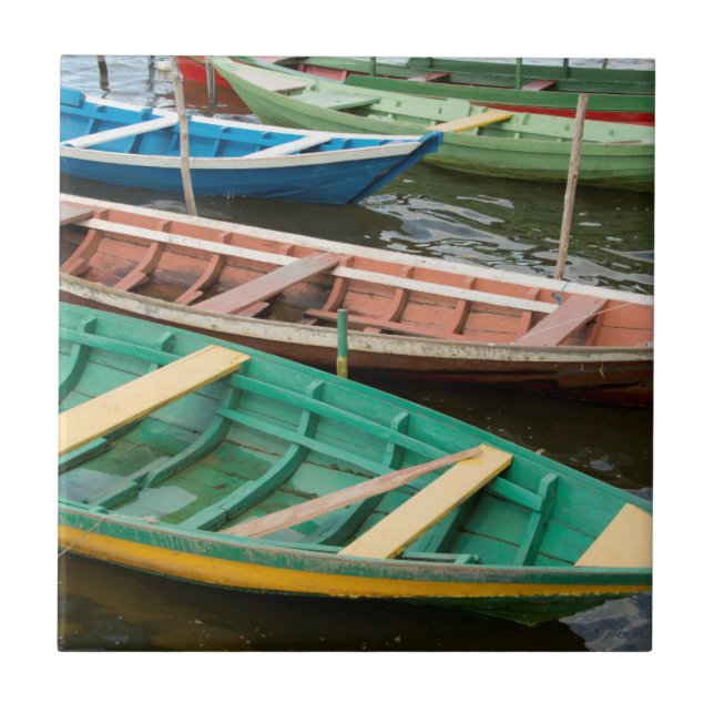 Azulejo Brasil, Amazonía, Alter Do Chao (Frente)