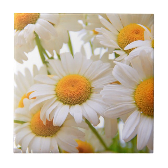 Azulejo Bright Summer Daisies Photo (Frente)