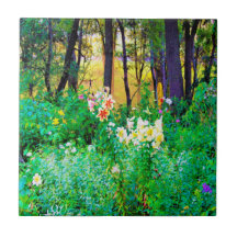 Brillante amanecer con lirios de árbol en My Rubio