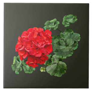 Azulejo Brillante Red Geranium